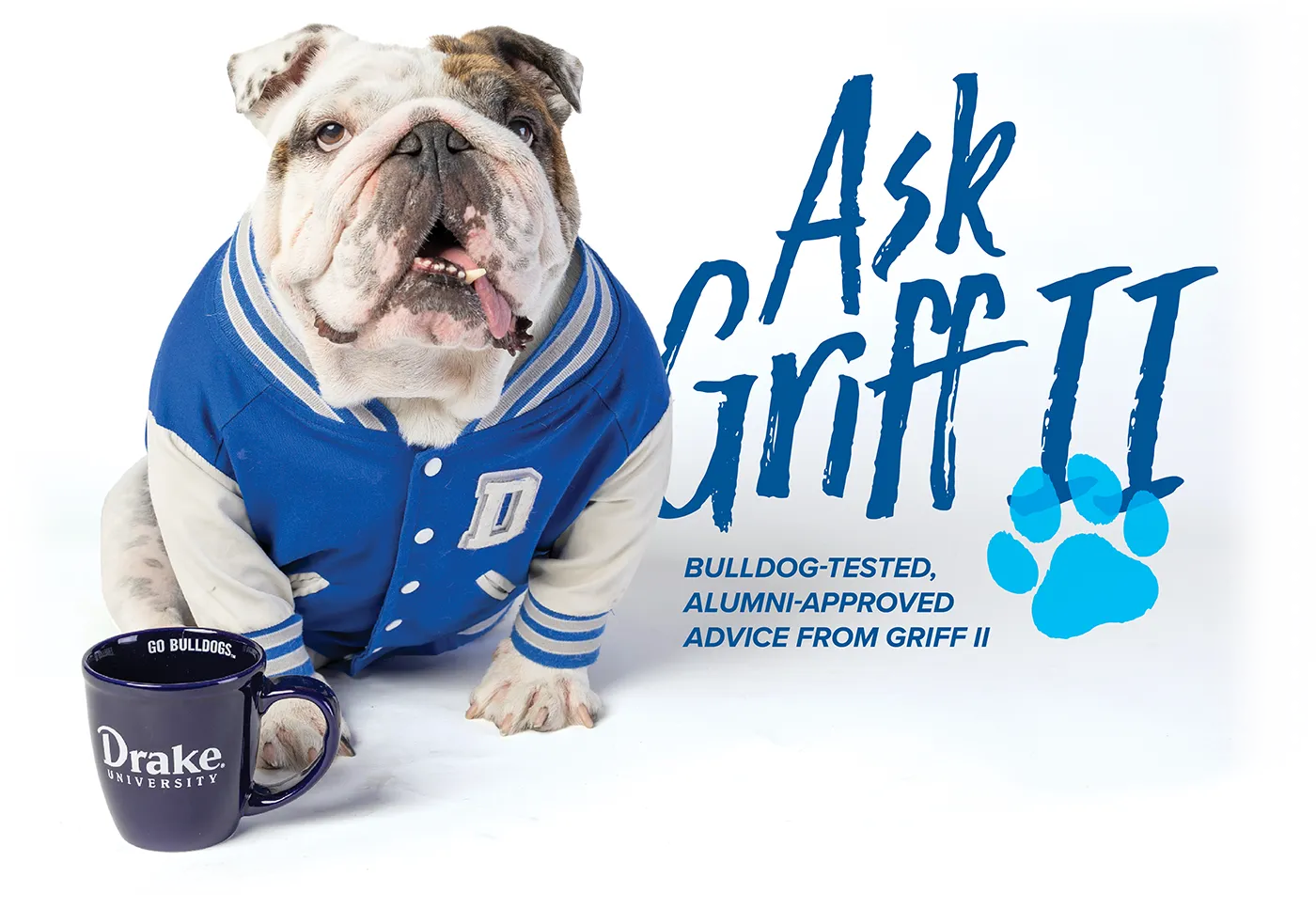 English Bulldog in a varsity jacket with a mug and text saying "Ask Griff II."