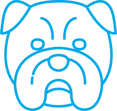 Line drawing of a bulldog's face.