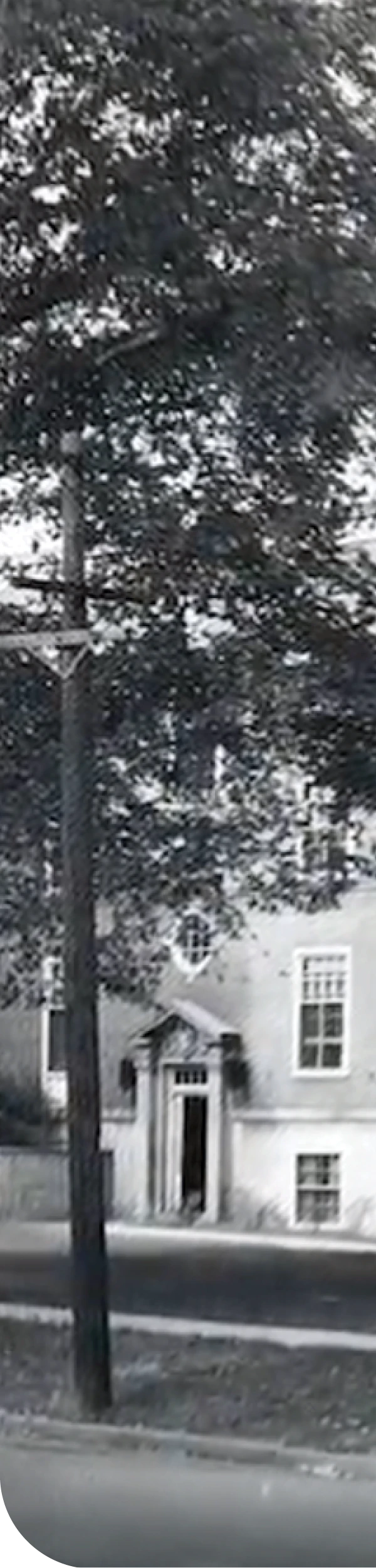 Black-and-white photo of a building partly obscured by a tree.