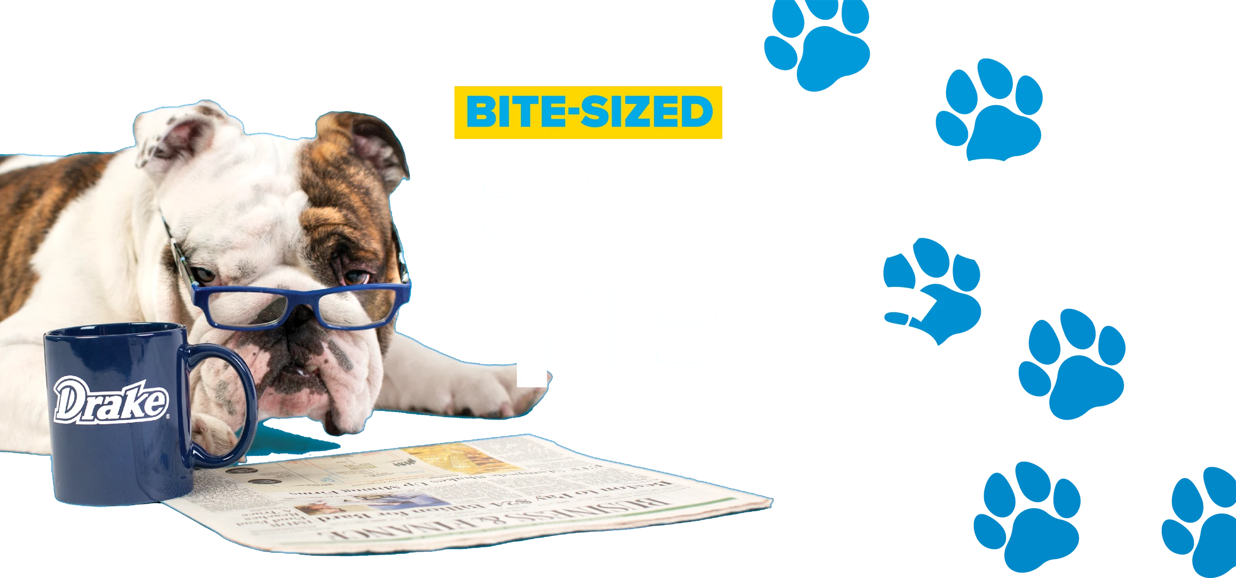 Bite-Sized Bulldog News; bulldog reading a newspaper with a Drake coffee mug