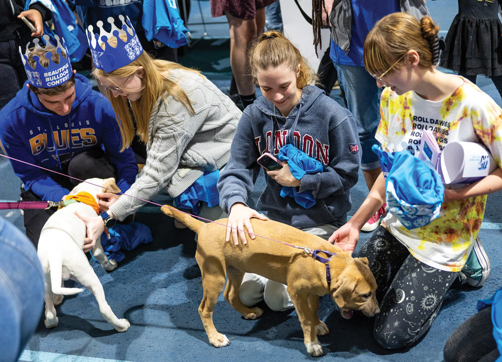 Students, some wearing blue paper crowns, kneel on a blue surface to pet two young dogs. One student wears a tie-dye shirt that says "Roll Dawgs."