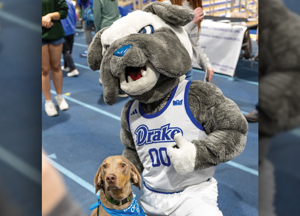 The Drake University mascot, a grey furry bulldog in a basketball jersey, gives a thumbs up while posing next to a brown dog wearing a blue bandana.