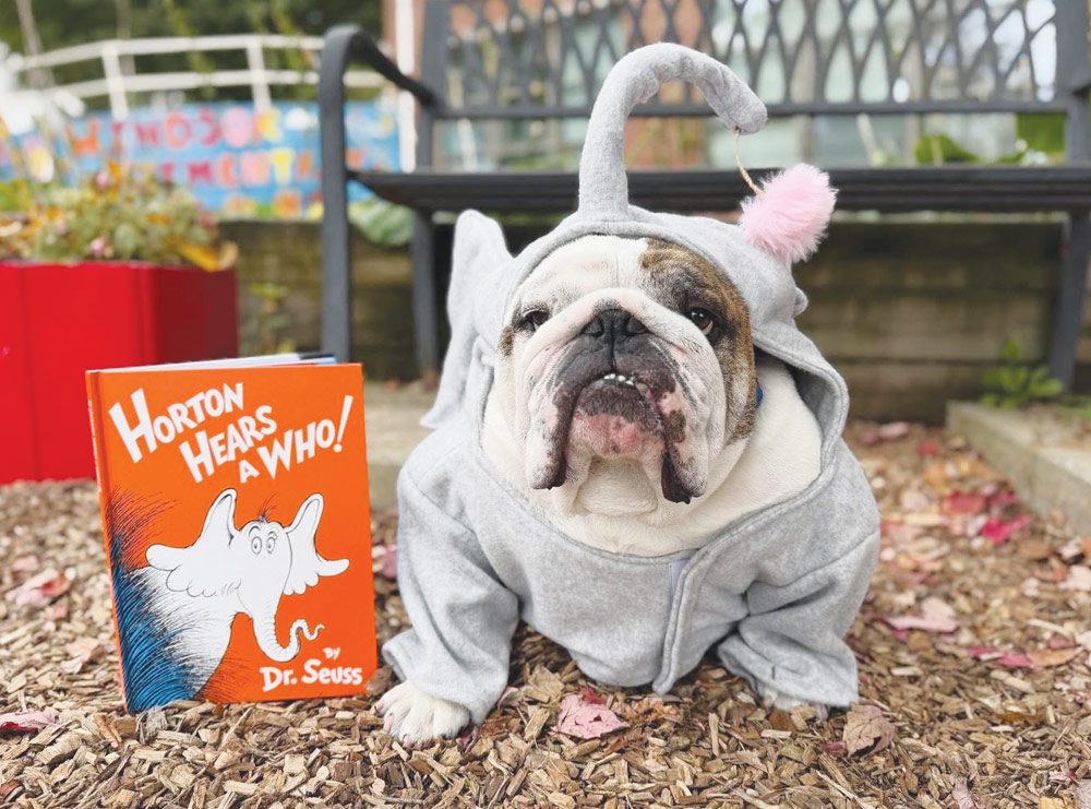 An English bulldog dressed in an elephant costume sits next to a Dr. Seuss "Horton Hears a Who!" book.