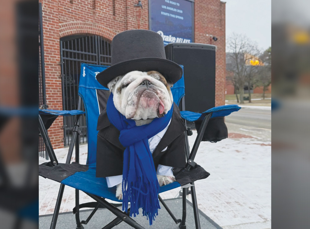 An English bulldog wearing a top hat, black coat, and blue scarf sits in a lawn chair outdoors.