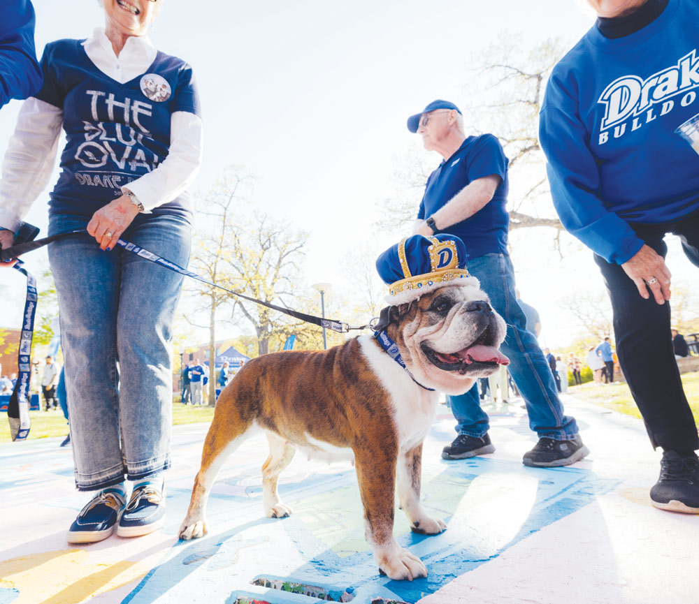 Low-angle view of an English bulldog wearing a blue and gold crown on a leash outdoors.